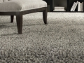 Shag carpet Stanton#2.jpg